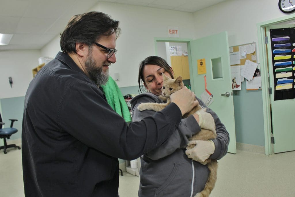 Gus petting a cat at MHHS.